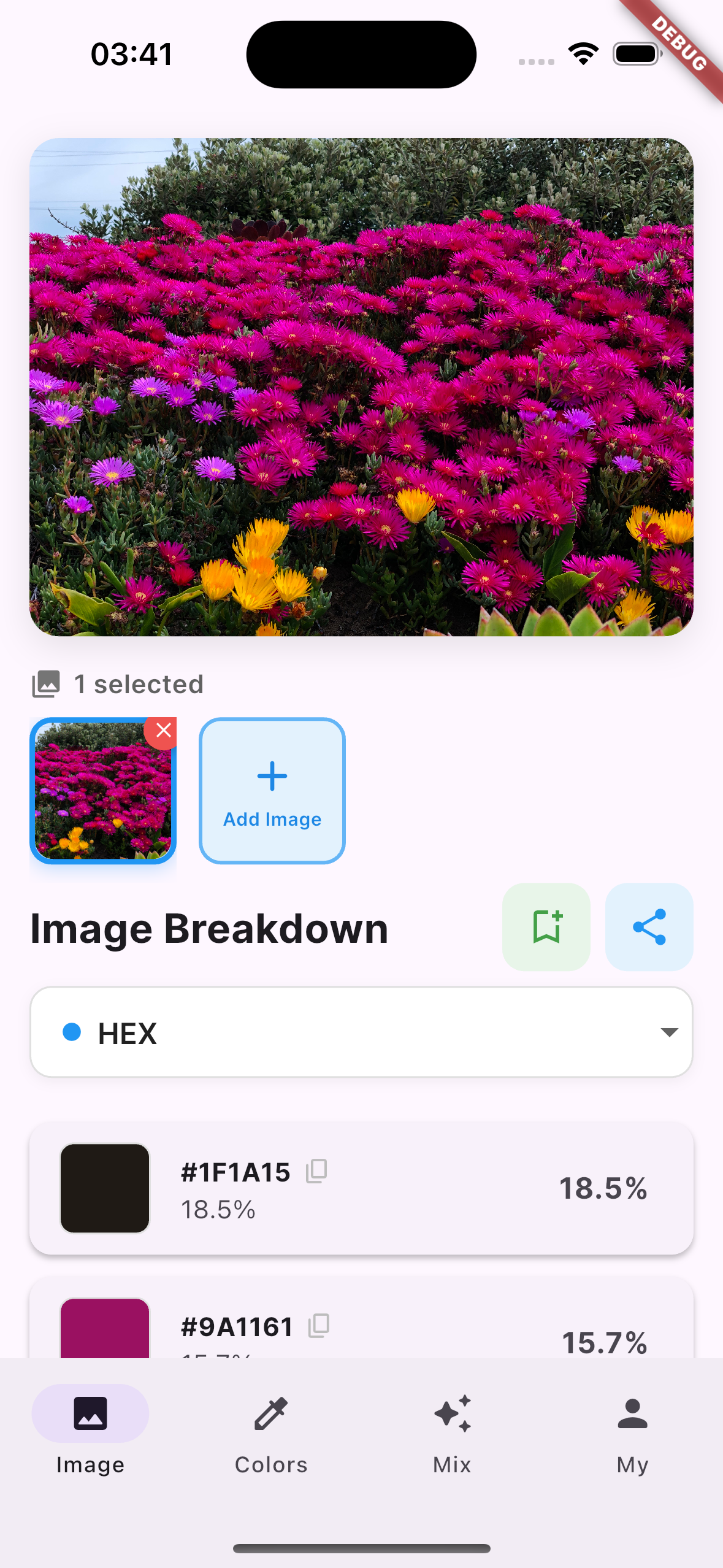 Tintr App Screenshot